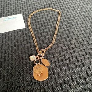 Premier designs modern Luxe Necklace